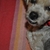 _dsc0032__2__thumb
