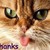 1034954509_rookshanks_thumb