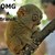 Omg_a_branch__thumb
