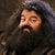 Sym_hagrid_thumb