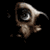 Hp_buddyicons_portrait_dobby_48x48