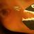 Fish_face_thumb
