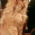 Crookshanks_thumb