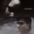 Hp-boywholived_thumb