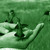 Green_hummers_thumb