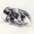 Anteater_thumb