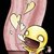 5_thumb