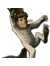 Max_wild_thumb