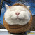 Veryctsmilingwtcat_thumb