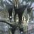 Lothlorien_thumb