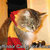 Gryffindor-cat-is-not-amused_thumb