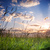 Field-1600x1200_thumb