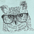 Owl_thumb