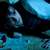 Radcliffe_articles_ew_002_thumb