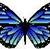Blue_butterfly_thumb