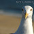 Gull_1280_thumb