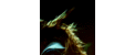 Tumblr_lqrx423roq1qe3aixo1_500_thumb