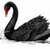 Swan_thumb