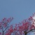 Hike__feb