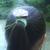 08060009_thumb