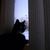 Kat_thumb