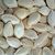 Pumpkin-seeds_thumb
