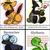 Hogwartshouses_thumb