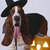 Witchbasset_thumb