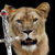 Logo_revised_thumb