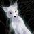 White_fox_2_thumb