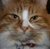Avatar_thumb