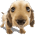 Animated-dog-avatar_thumb