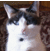 Luna1_thumb