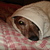 Dsc00162_thumb