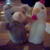 Picture_19__thumb