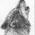 Howling_wolf_2__thumb