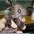 Harrypottermus128506258784218750_thumb
