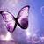 Th_thepurplebutterfly_thumb