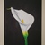 Artwork_001_thumb