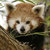 20040820-205rp_thumb