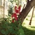 Scan0077_thumb