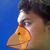 Avianeddy_thumb