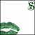 Slytherin-003_thumb