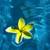 Blue_avatar_thumb