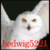 Hedwig2_thumb
