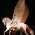Pegasus1_thumb