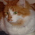 Casey_close_up_thumb