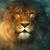 Aslan_thumb