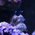 N719035502_76564_4347_thumb
