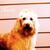 Maggie_4b_thumb